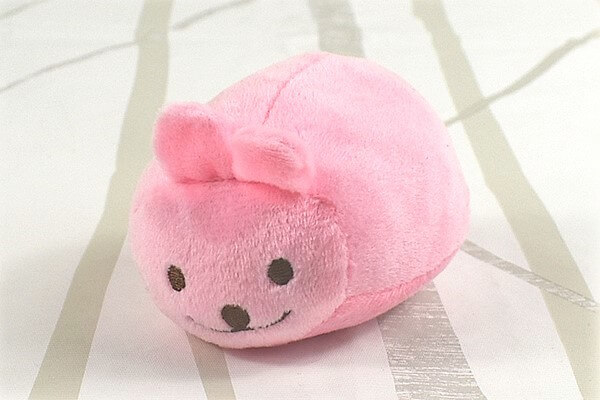 【ダイソーVSセリア】100均「ペット用おもちゃ」対決！　SNS映えする写真が撮れる!?の画像3