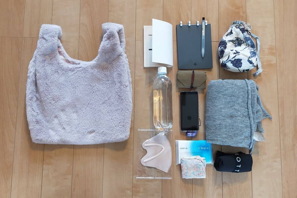 ダイソーのエコファーバッグと収納品の画像