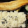 オリジン新作弁当「縞ほっけの塩焼き弁当」はデカい！　約20cmでずっしり、味は想像より……？