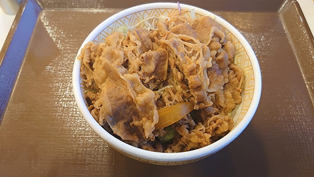 すき家「牛丼ライト」の画像
