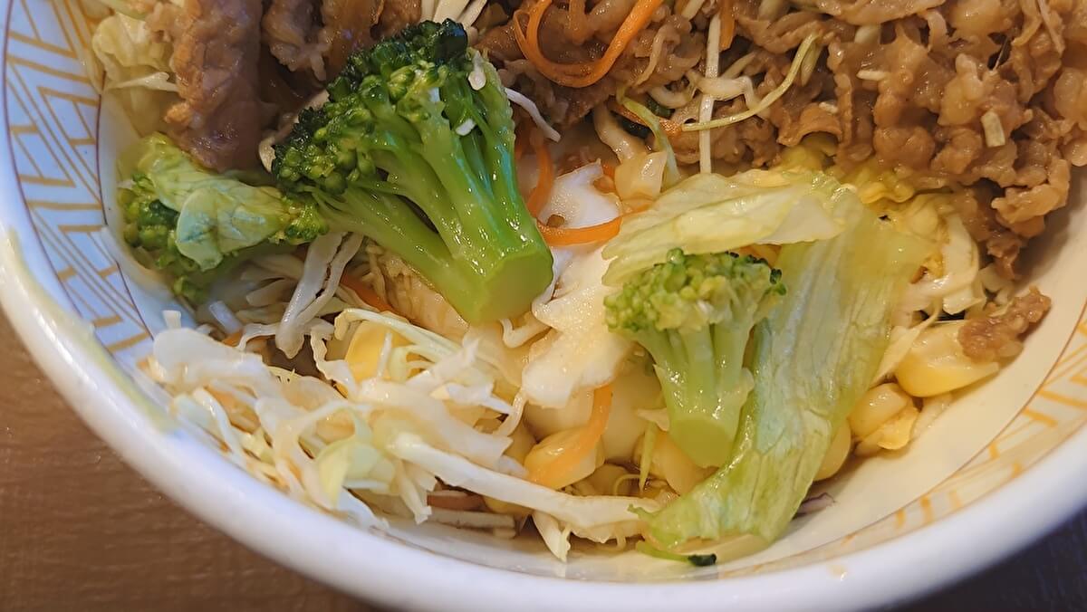 すき家「牛丼ライト」の画像