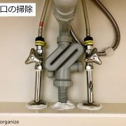 夏の排水口の【ゴキブリ対策】、プロが教える効果的な掃除方法とふさぎ方は？